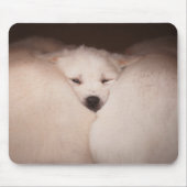 Kutest Baby Animals | Golden Retriever Snuggle Muismat (Voorkant)