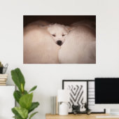 Kutest Baby Animals | Golden Retriever Snuggle Poster (Thuiskantoor)