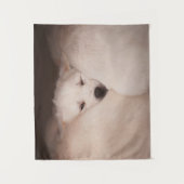 Kutest Baby Animals | Golden Retriever Snuggle Wandkleed (Voorkant)