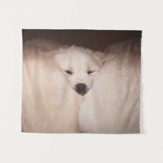 Kutest Baby Animals | Golden Retriever Snuggle Wandkleed (Voorkant (horizontaal))