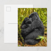 Kutest Baby Animals | Gorilla en Baby Briefkaart (Voorkant / Achterkant)