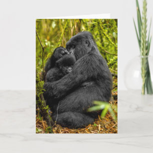 Kutest Baby Animals   Gorilla en Baby Kaart
