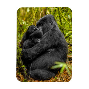 Kutest Baby Animals Gorilla en Baby Magneet