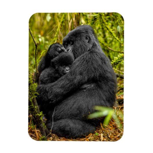 Kutest Baby Animals | Gorilla en Baby Magneet (Verticaal)