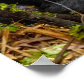 Kutest Baby Animals | Gorilla en Baby Poster (Hoek)