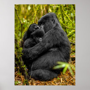 Kutest Baby Animals Gorilla en Baby Poster