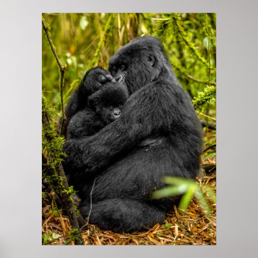 Kutest Baby Animals | Gorilla en Baby Poster (Voorkant)