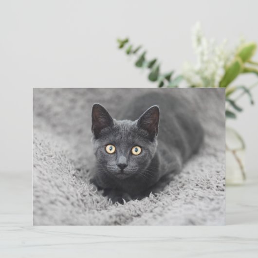 Kutest Baby Animals | Grijze katten Bedankkaart (Staand voorkant)