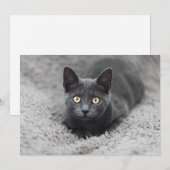 Kutest Baby Animals | Grijze katten Bedankkaart (Voorkant / Achterkant)