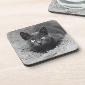 Kutest Baby Animals | Grijze katten Bier Onderzetter (Linkerzijde)