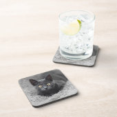 Kutest Baby Animals | Grijze katten Bier Onderzetter (Rechterzijde)