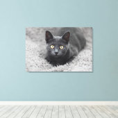 Kutest Baby Animals | Grijze katten Canvas Afdruk (Insitu (Houten vloer))