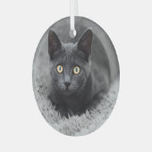 Kutest Baby Animals | Grijze katten Glas Ornament (Voorkant links)