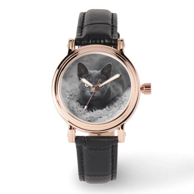 Kutest Baby Animals | Grijze katten Horloge (Voorkant)