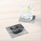 Kutest Baby Animals | Grijze katten Kartonnen Onderzetters (Insitu)