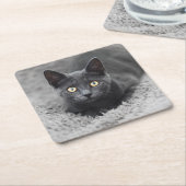 Kutest Baby Animals | Grijze katten Kartonnen Onderzetters (Schuin)