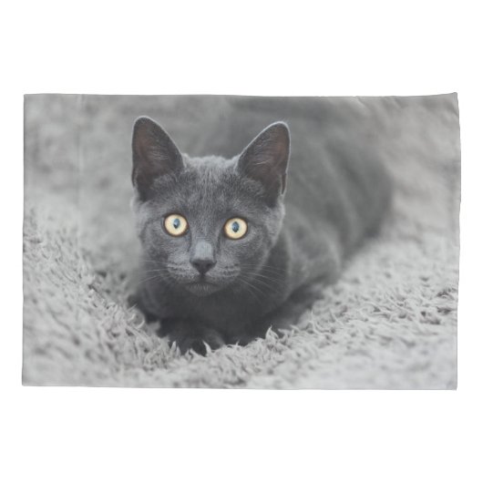 Kutest Baby Animals | Grijze katten Kussensloop (Achterkant)