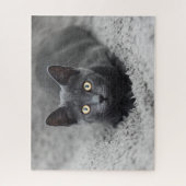 Kutest Baby Animals | Grijze katten Legpuzzel (Verticaal)