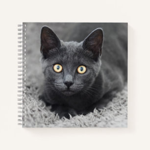 Kutest Baby Animals Grijze katten Notitieboek