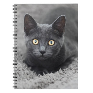 Kutest Baby Animals   Grijze katten Notitieboek