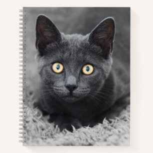 Kutest Baby Animals   Grijze katten Notitieboek