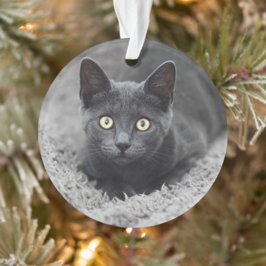 Kutest Baby Animals | Grijze katten Ornament (Boom)