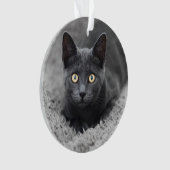 Kutest Baby Animals | Grijze katten Ornament (voorkant)