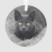 Kutest Baby Animals | Grijze katten Ornament (achterkant)