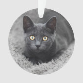 Kutest Baby Animals | Grijze katten Ornament (voorkant)
