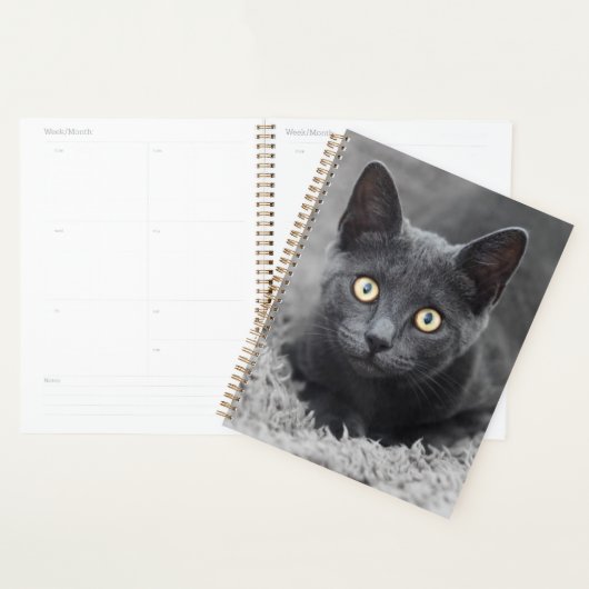 Kutest Baby Animals | Grijze katten Planner (Display)