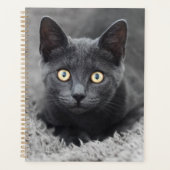 Kutest Baby Animals | Grijze katten Planner (Voorkant)