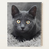 Kutest Baby Animals | Grijze katten Planner (Achterkant)