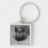 Kutest Baby Animals | Grijze katten Sleutelhanger (Voorkant)