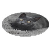 Kutest Baby Animals | Grijze katten Snijplank (Hoek)