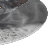 Kutest Baby Animals | Grijze katten Snijplank (Hoek)