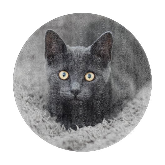 Kutest Baby Animals | Grijze katten Snijplank (Voorkant)