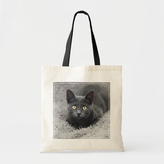 Kutest Baby Animals | Grijze katten Tote Bag (Voorkant)