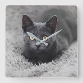 Kutest Baby Animals | Grijze katten Vierkante Klok (Voorkant)