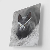 Kutest Baby Animals | Grijze katten Vierkante Klok (Hoek)