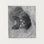 Kutest Baby Animals | Grijze katten Wandkleed (Voorkant)