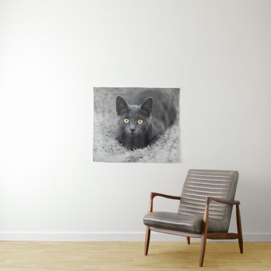 Kutest Baby Animals | Grijze katten Wandkleed (In Situ (horizontaal))