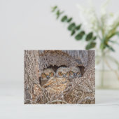 Kutest Baby Animals | Grote kuikens van paarden Briefkaart (Staand voorkant)