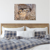 Kutest Baby Animals | Grote kuikens van paarden Canvas Afdruk (Insitu (Slaapkamer))