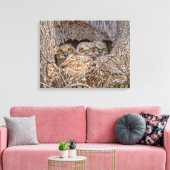 Kutest Baby Animals | Grote kuikens van paarden Canvas Afdruk (Insitu (Woonkamer))