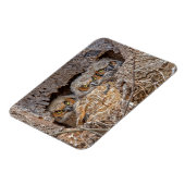 Kutest Baby Animals | Grote kuikens van paarden Magneet (Linkerzijde)