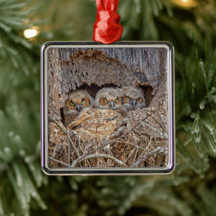Kutest Baby Animals Grote kuikens van paarden Metalen Ornament