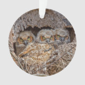 Kutest Baby Animals | Grote kuikens van paarden Ornament (voorkant)