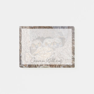 Kutest Baby Animals   Grote kuikens van paarden Post-it® Notes