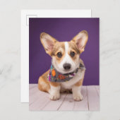 Kutest Baby Animals | Halloween Corgi Briefkaart (Voorkant / Achterkant)