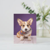 Kutest Baby Animals | Halloween Corgi Briefkaart (Staand voorkant)